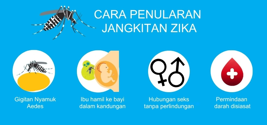 Cara-cara penularan jangkitan Zika.