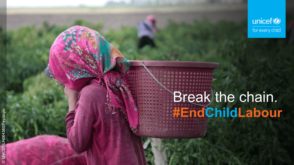 A young girl works as a child labourer in a farm.