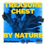 Corals. With text 'treasure chest by nature.'