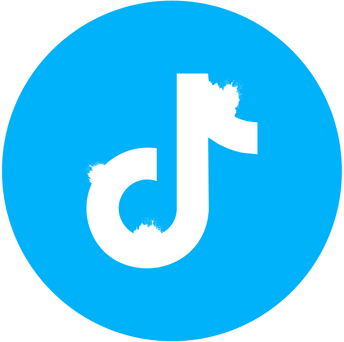 tiktok icon