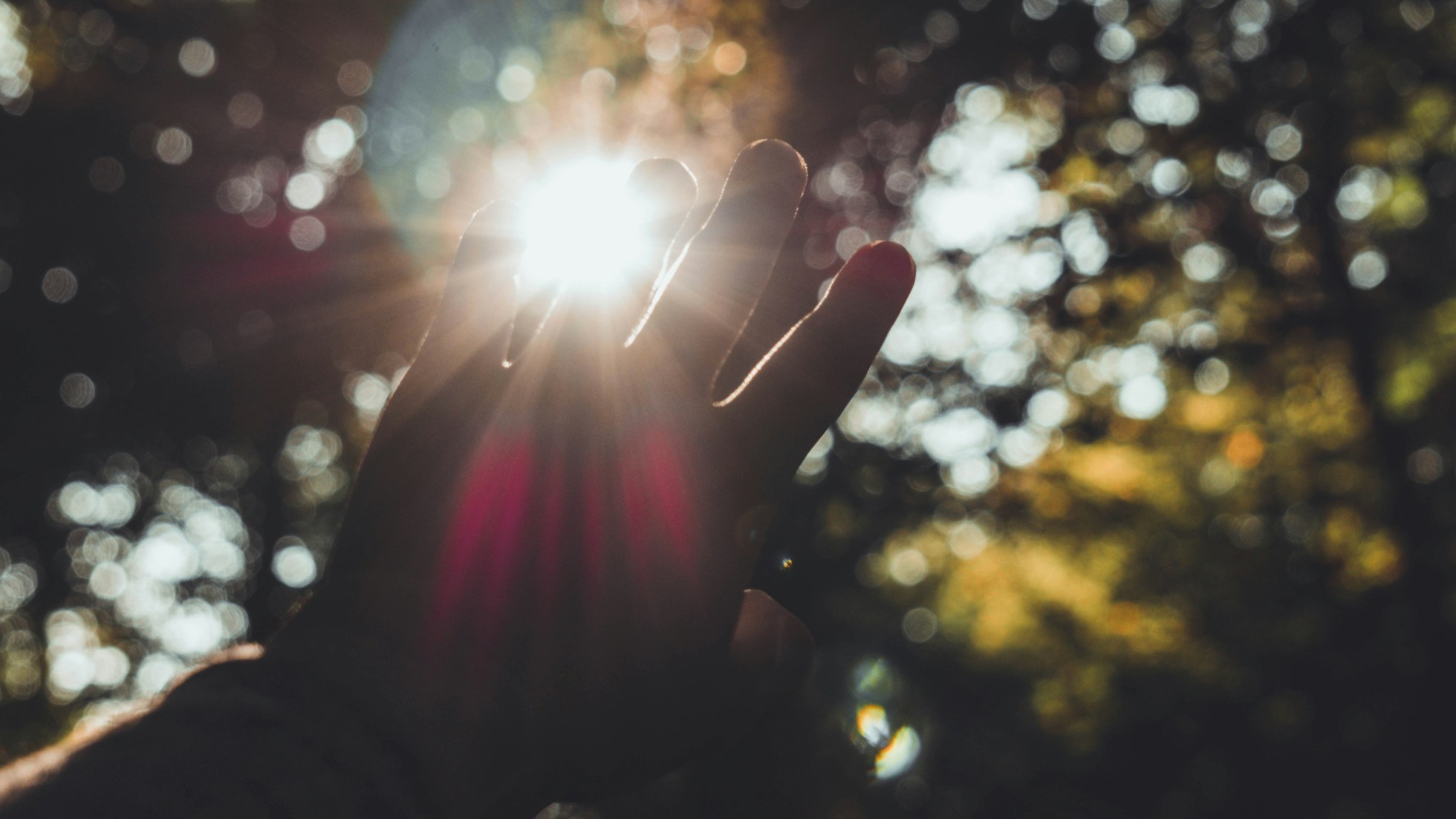 Hand reaching up with the sunlight breaking through the leaves.