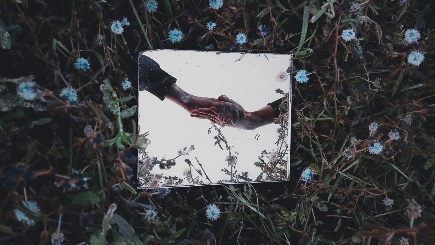 A small mirror lying among grass and flowers reflects two hands clasping in support.